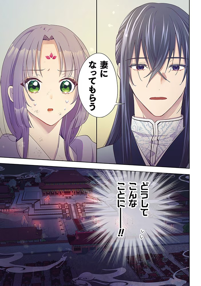 2025年5月2日起连载!ハマサキ创作的后宫药膳医漫画故事