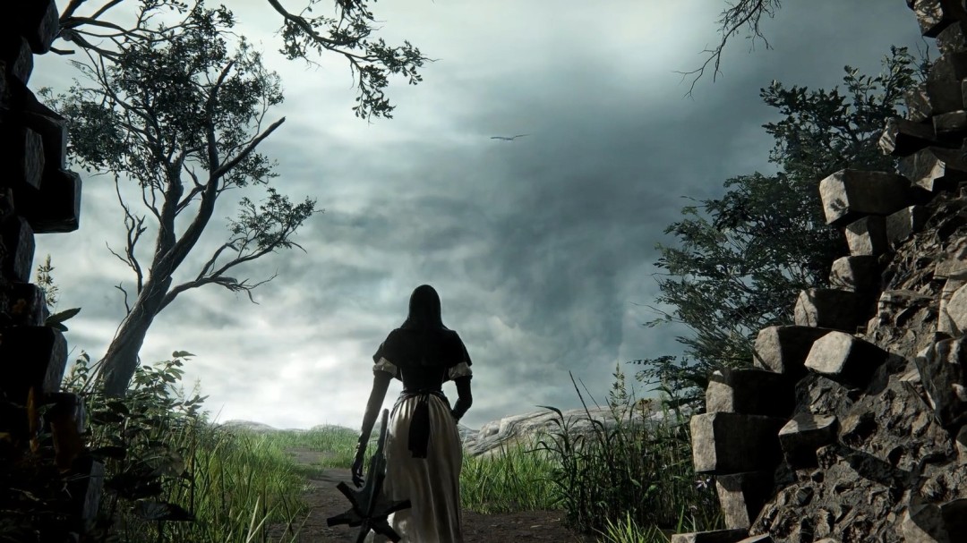 艾尔登法环新DLC公开！送葬者携新Boss、地形12月4日降临