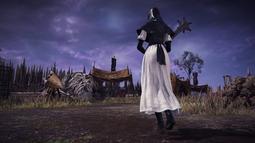 艾尔登法环新DLC公开！送葬者携新Boss、地形12月4日降临