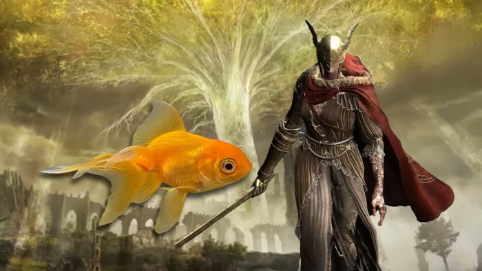 金鱼也能打BOSS?主播用宠物鱼通关老头环DLC的传奇故事