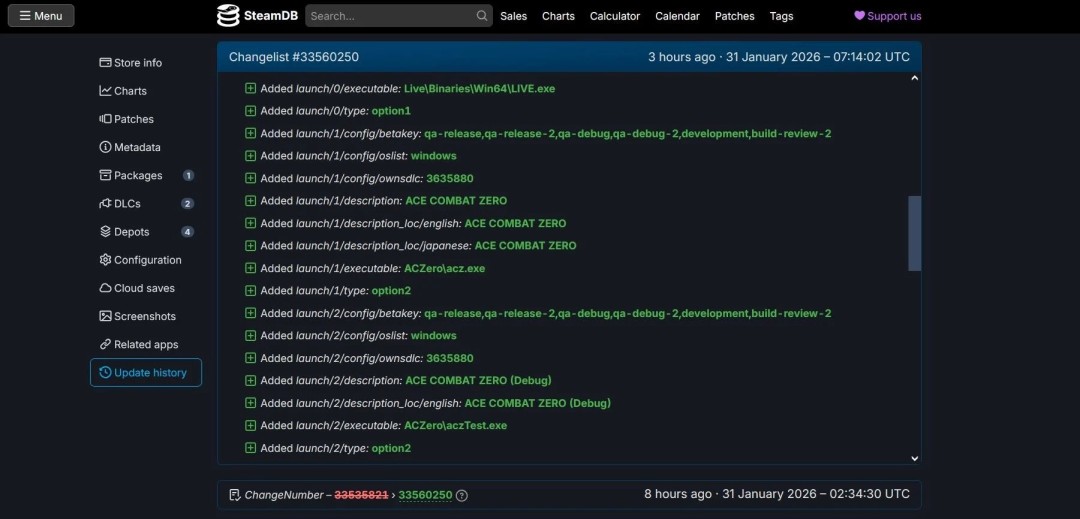 皇牌空战8预售特典或含皇牌空战0，Steam条目更新